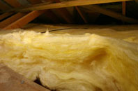 Hazelwood pitch roof insulation